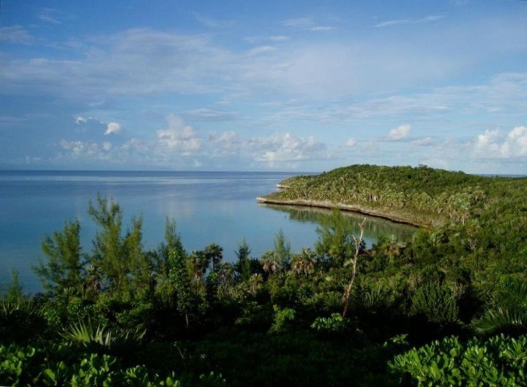 Beside The Pointe Cottage Savannah Sound Extérieur photo