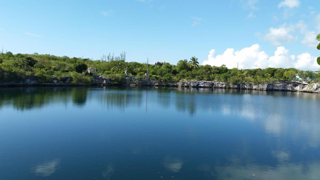 Beside The Pointe Cottage Savannah Sound Extérieur photo